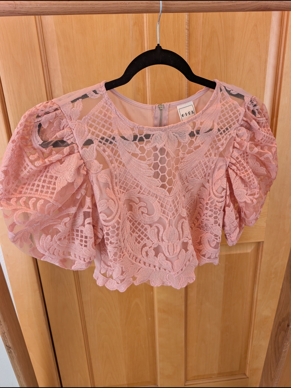 Delicate Lace Puff-Sleeve Crop Top - Blush Pink